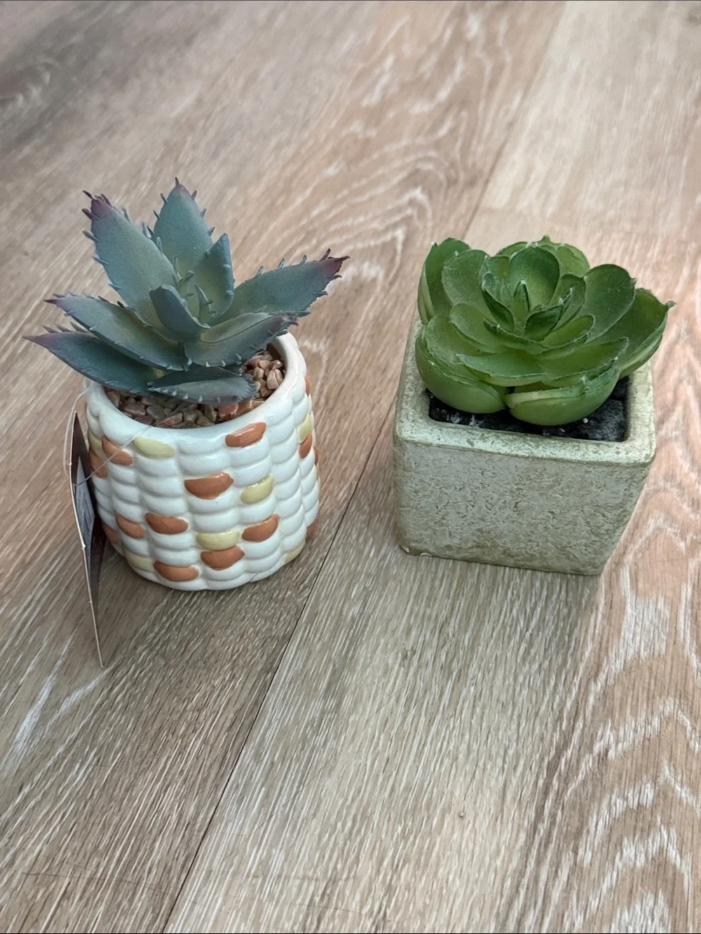 Bundle of 2 Mini Faux Succulents Non Matching Ceramic Pots Kohl's Target 2